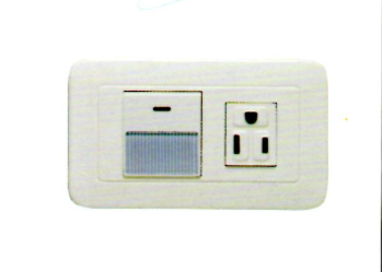 JY-4108 一開一附接地插座 (110V)